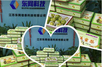 炎炎夏日送清涼，絲絲關愛沁人心！--江蘇東網派發夏令鮮果--焦溪特產蜜梨